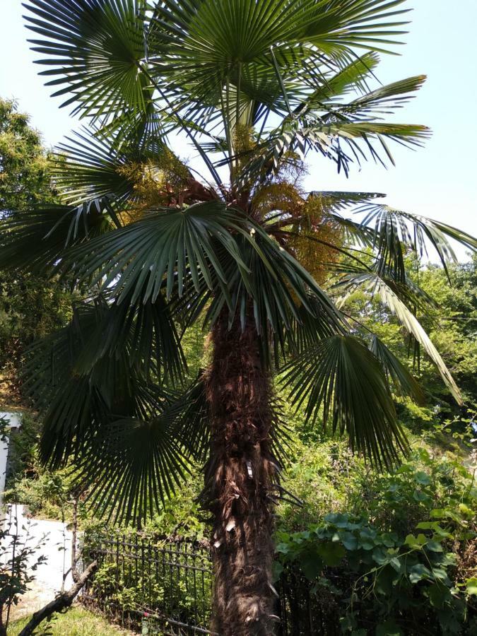 Villa Eleni Agnanti Ano Stavros ภายนอก รูปภาพ